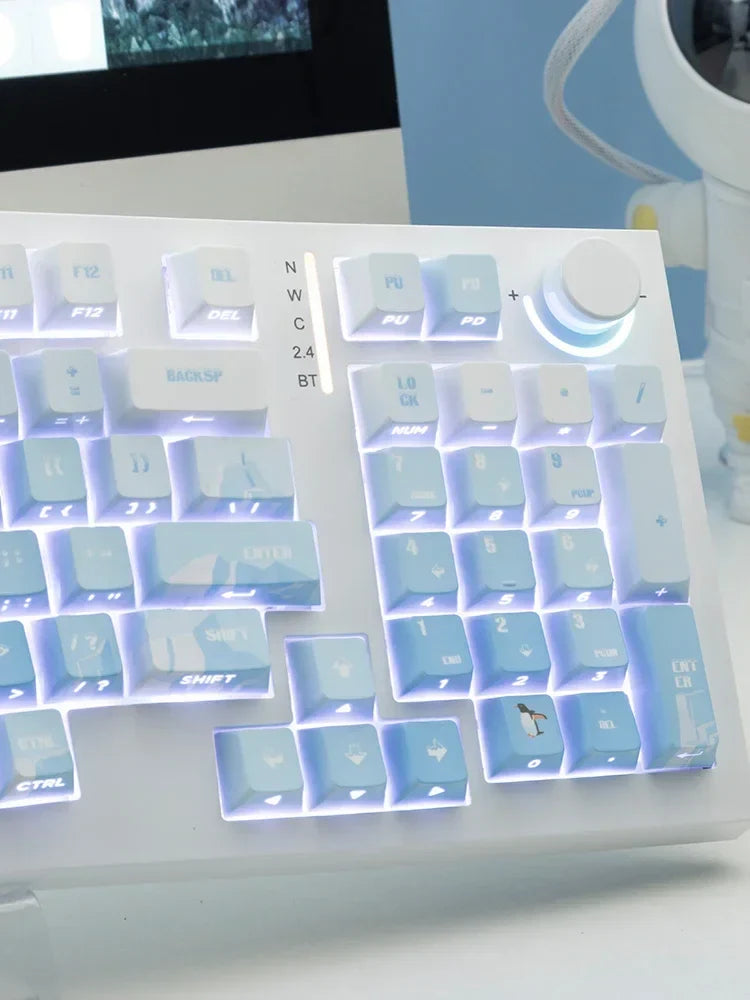 PIIFOX PBT OEM Profile Keycaps 135Keys Heat Sublimation Keycaps Ice Age Seeking Glacier Hand Painted Translucent  Key Caps