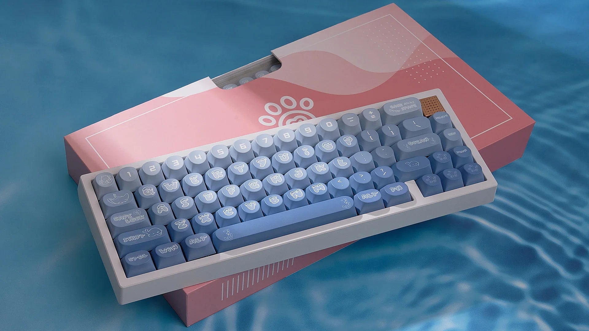 Transparent Keycaps PC 170 Keys Set for Mechanical Keyboard Keycap Accessories Personalized Customization DDA Profile Keycaps