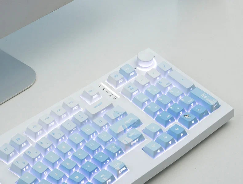 PIIFOX PBT OEM Profile Keycaps 135Keys Heat Sublimation Keycaps Ice Age Seeking Glacier Hand Painted Translucent  Key Caps