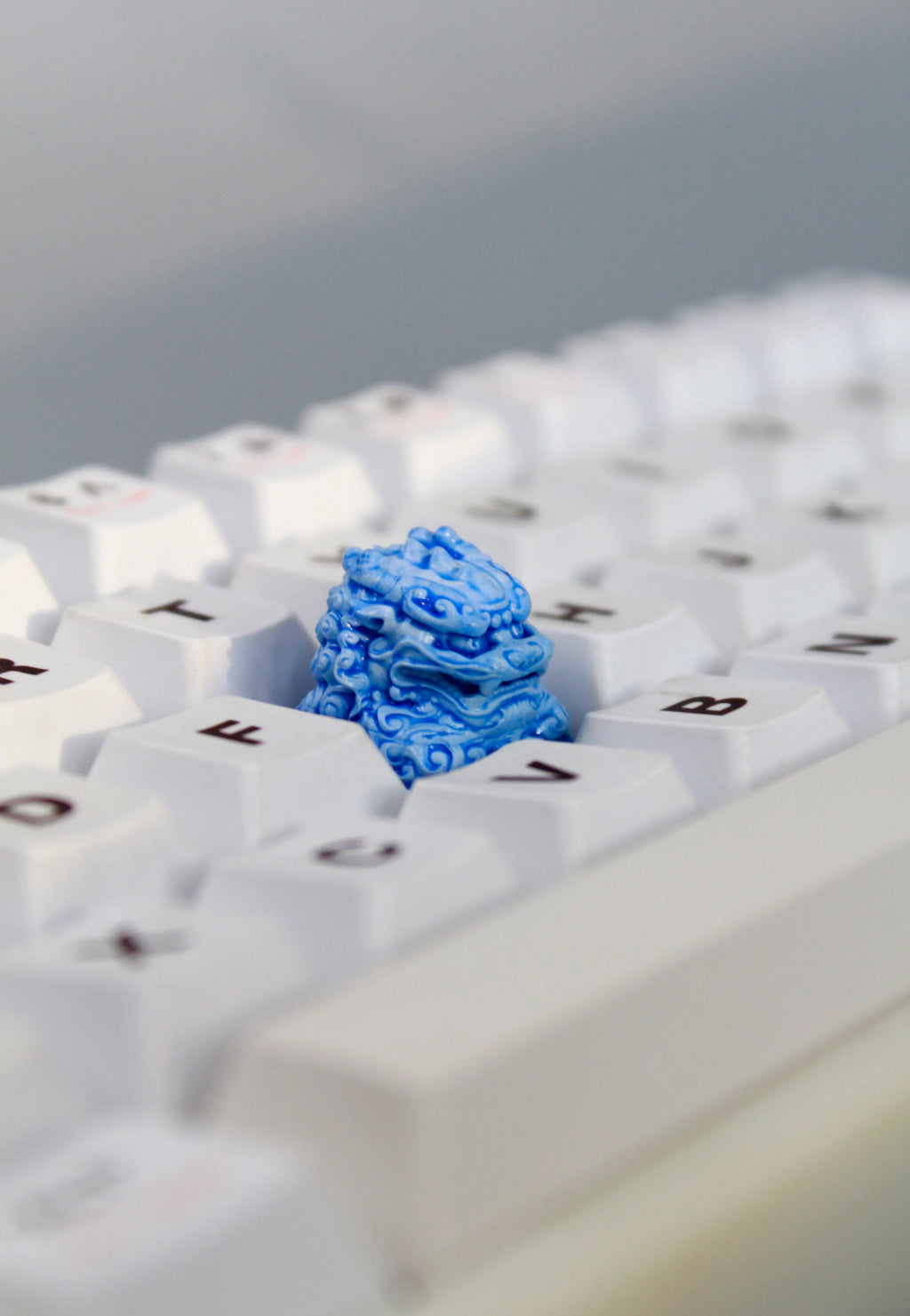 IDeal OEM Resin Keycaps Cherry MX Corss Switch Mechanical Keyboard No Backlit ESC F Zone Keycaps Lion Carved Customize Key Cap